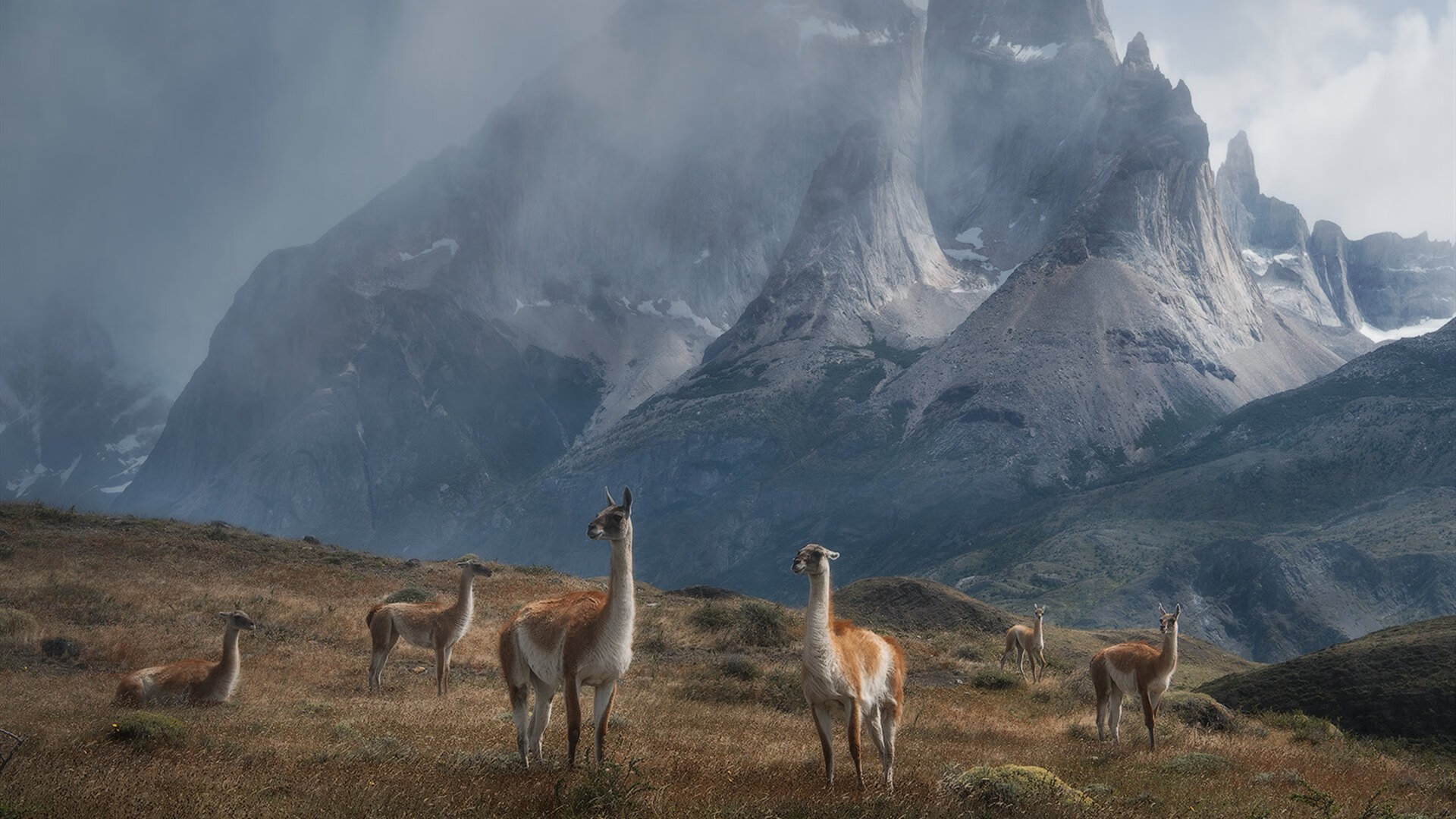 伊萨克爆发！莱比锡红牛逆转西班牙豪门