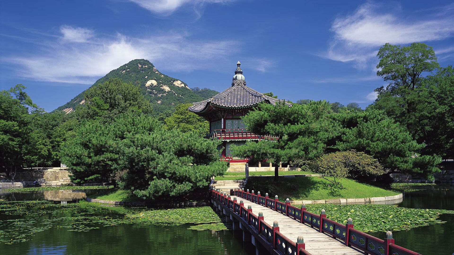 詹姆斯一手掌控，公牛与辽宁队的跨界大战