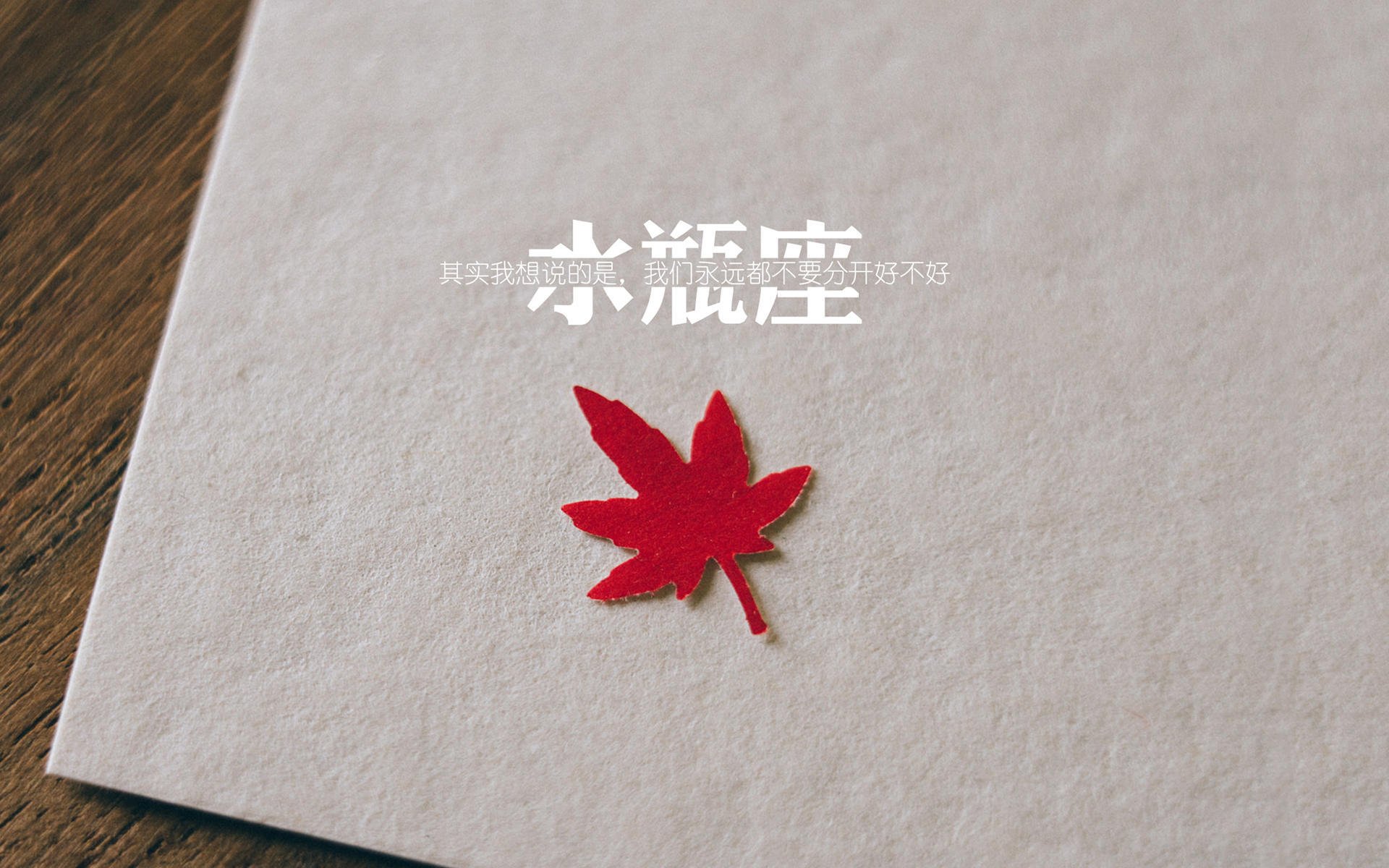 从铁西到费城，当拉文在东方雪夜里想起芝加哥的风