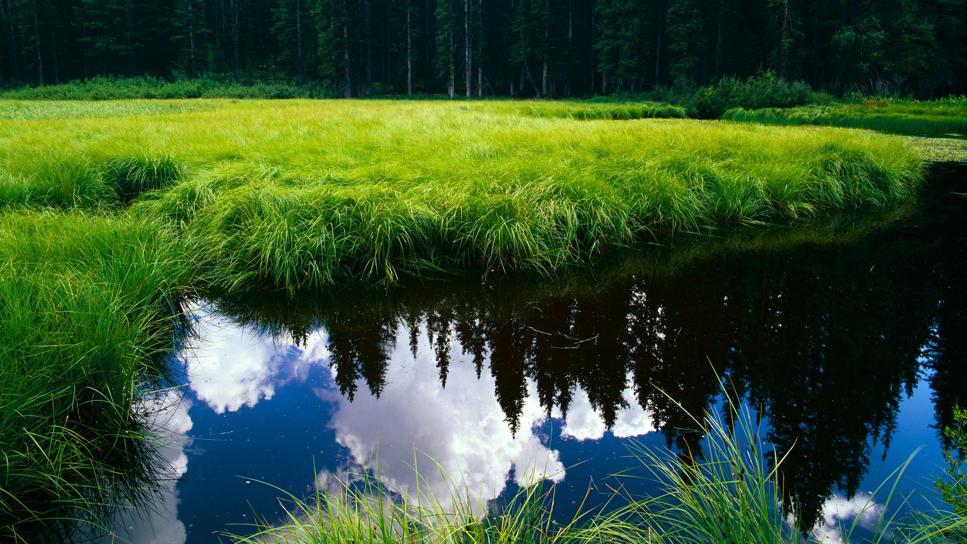鹈鹕振翅击退热火，拉梅洛全程高能点燃全场