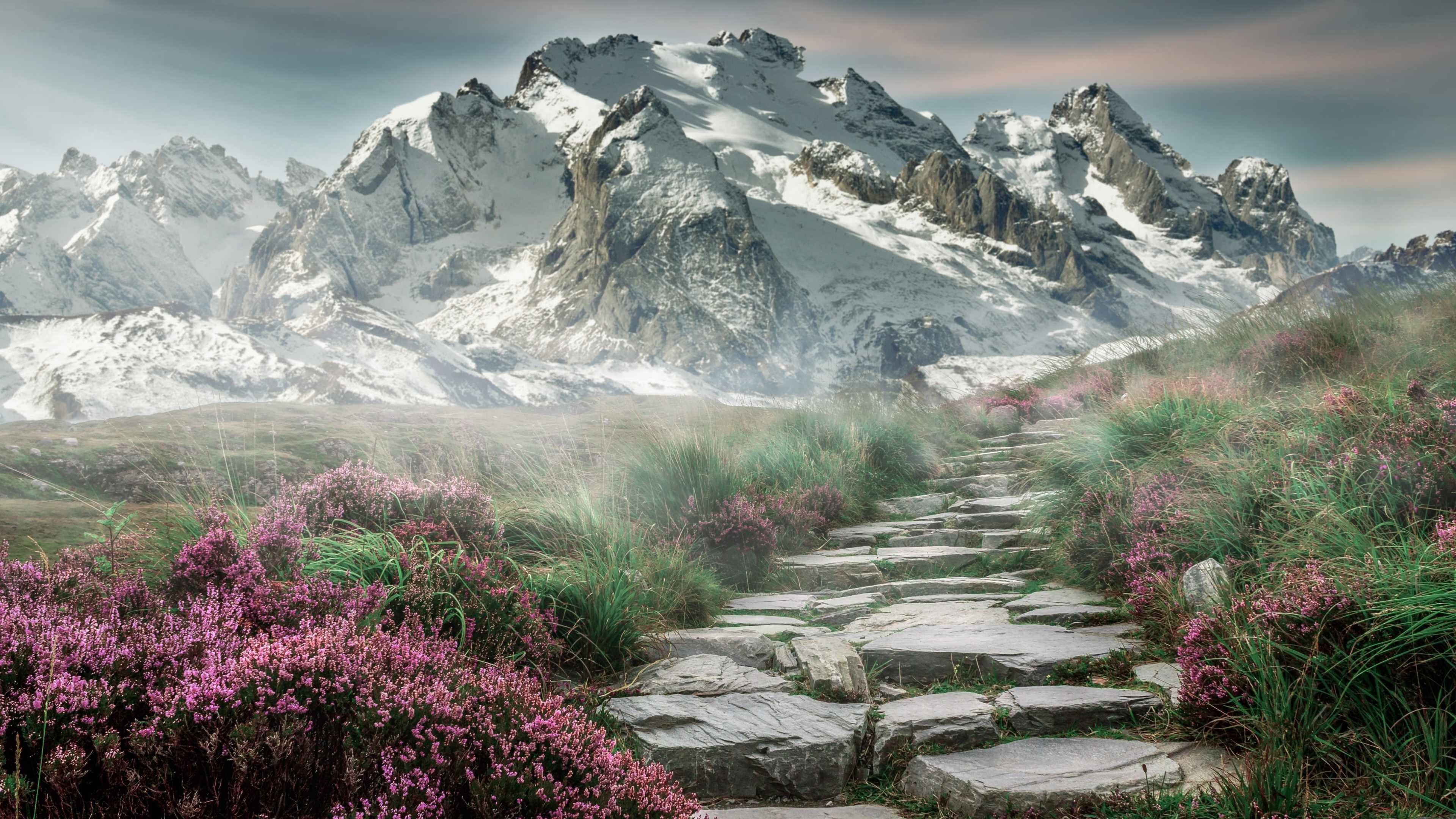 pg电子下载-阿什拉夫一锤定音！加纳爆冷力克德国，非洲雄狮撕碎日耳曼战车