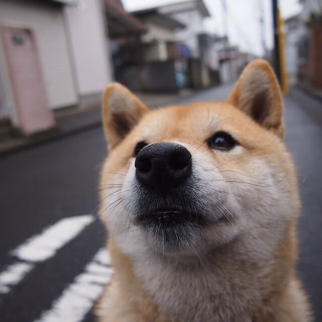 乔治巅峰之夜，魔术碾压绿军展示冠军相