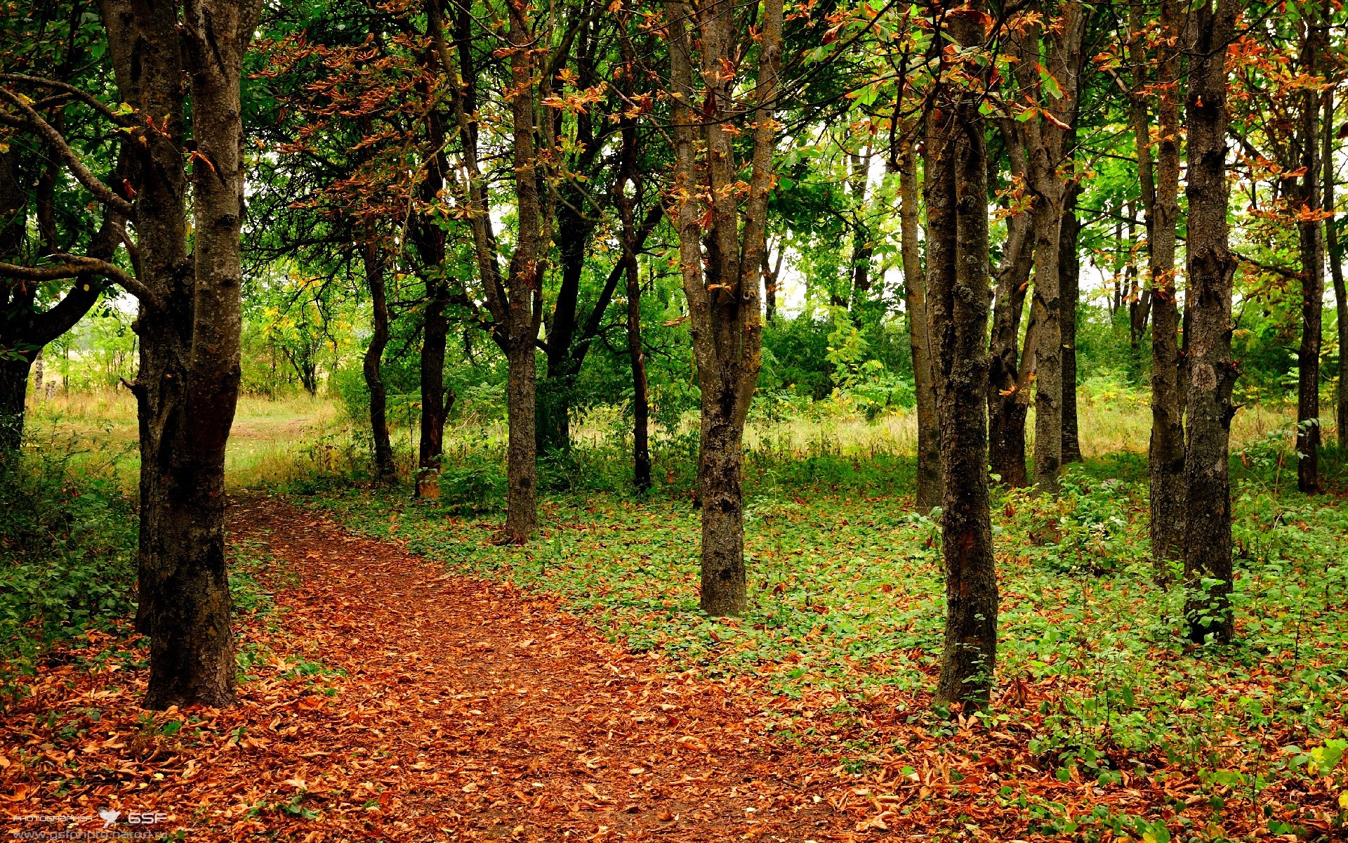 绞杀三狮，解析比利时用混凝土防线终结英格兰的年度焦点之战