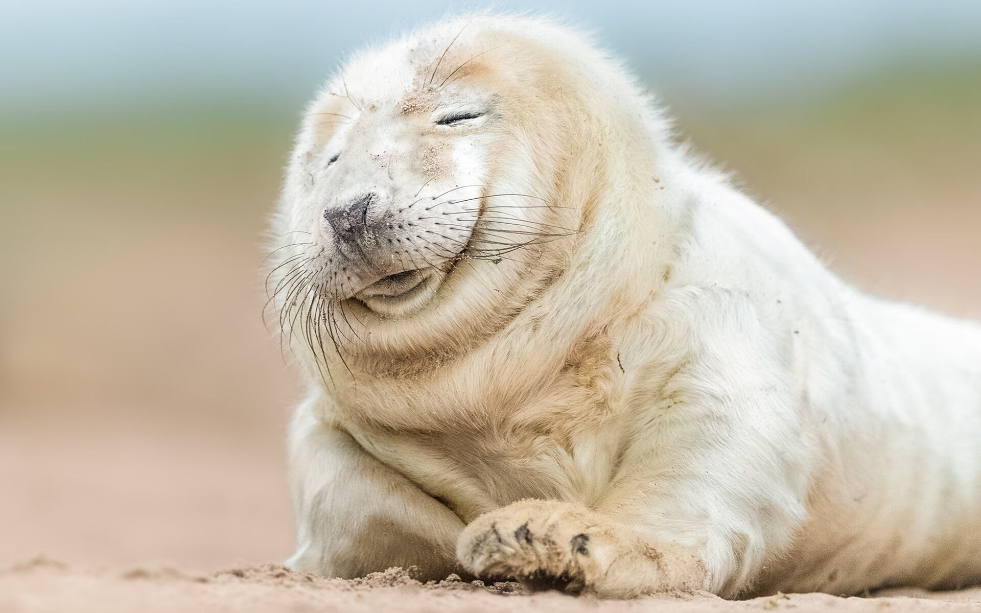 pg电子下载-李刚仁爆发！尼日利亚强行终结阿森纳不败神话