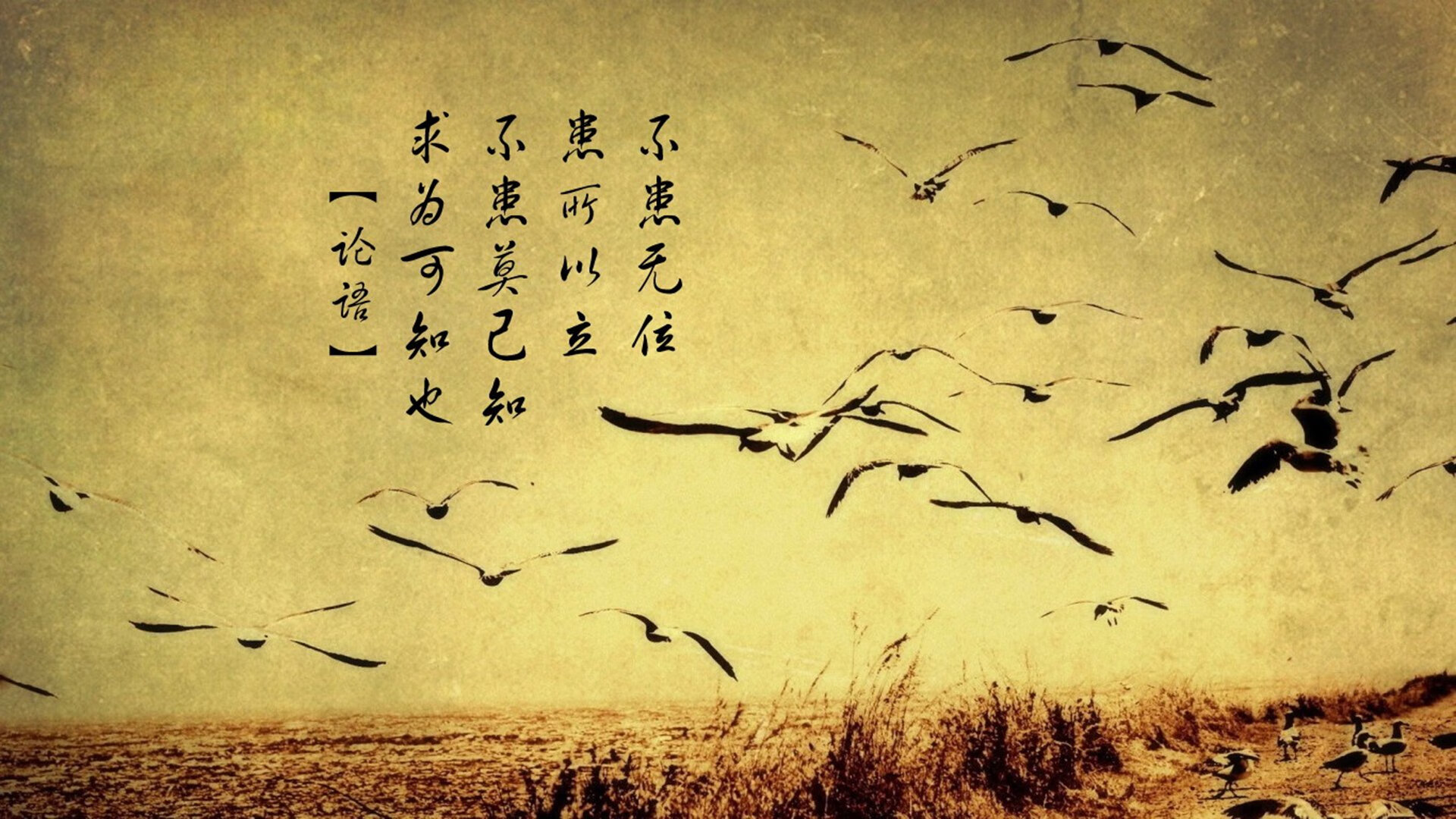 跨越国界的竞技魂，从勒沃库森的胜利到维尼修斯的加冕