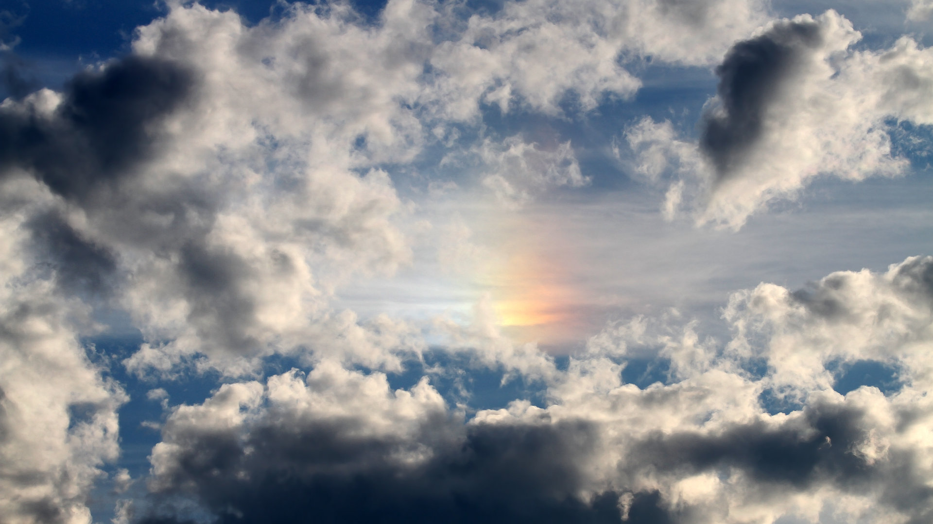 pg电子-欧文47分空砍夜，鹈鹕压哨绝杀黄蜂诠释团队力量