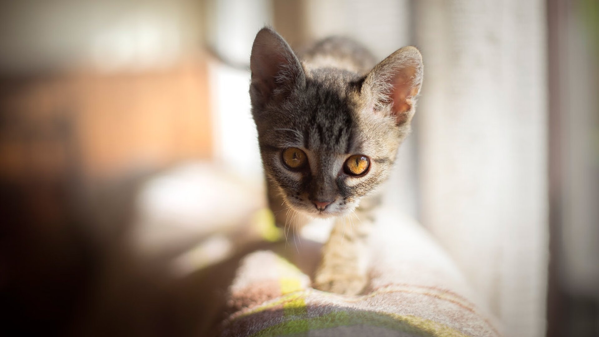 跨界风暴，杜兰特单手掌控湖人吉林对决走势，关键球定乾坤