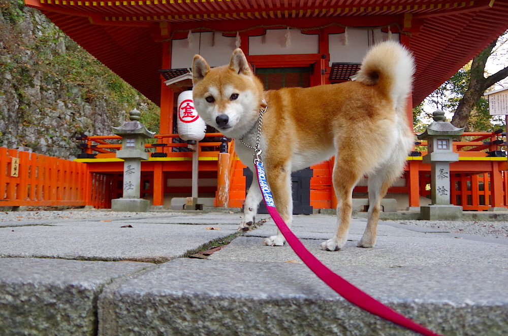 pg电子试玩网-希腊奇迹再现！莫德里奇天神下凡淘汰马德里竞技
