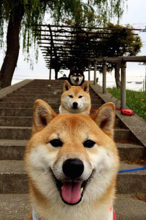 撕裂与压制，当福登的灵动撞上加拿大的铁壁，现代足球的双重变奏