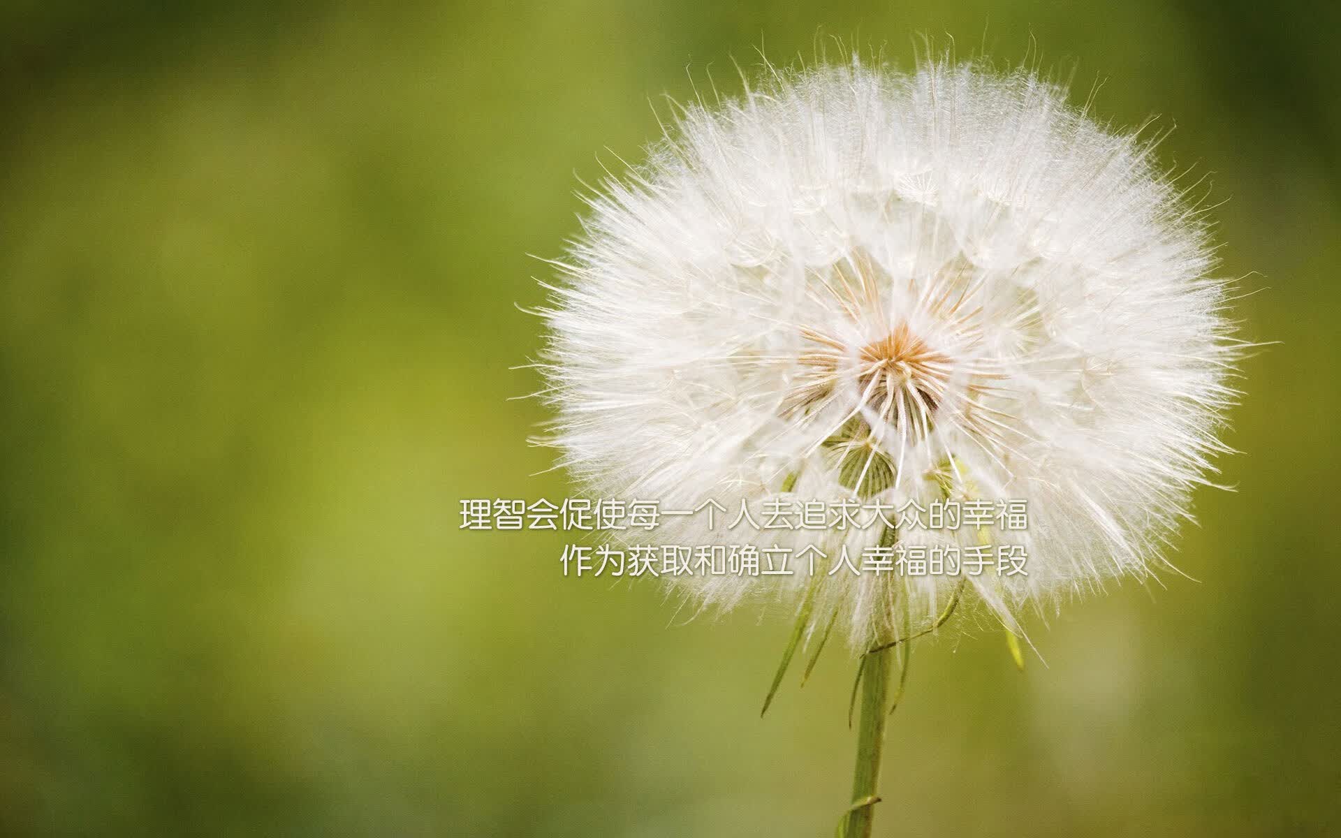 2026世界杯预选赛历史重演，意大利完胜匈牙利，C罗带队再续传奇